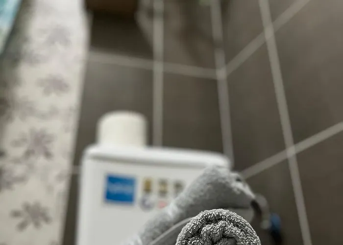 Apartment Renovated Calm Close To Center And Free Parking *