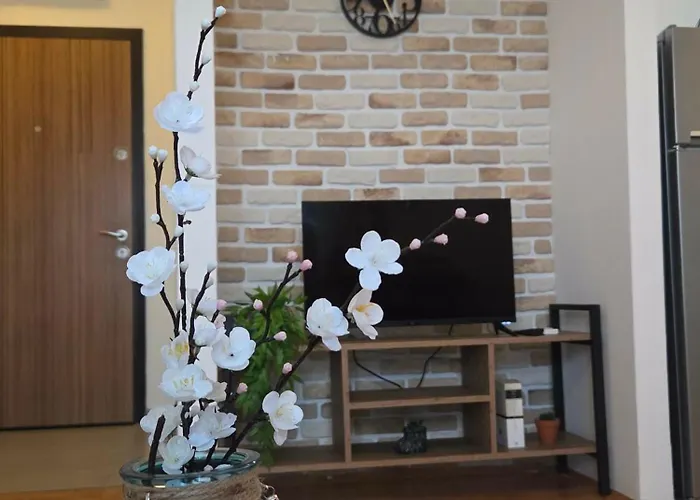 Apartment Renovated Calm Close To Center And Free Parking *