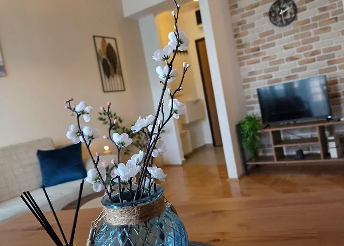 Apartment Renovated Calm Close To Center And Free Parking